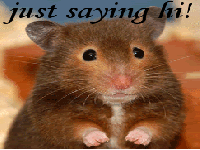 Hamster2